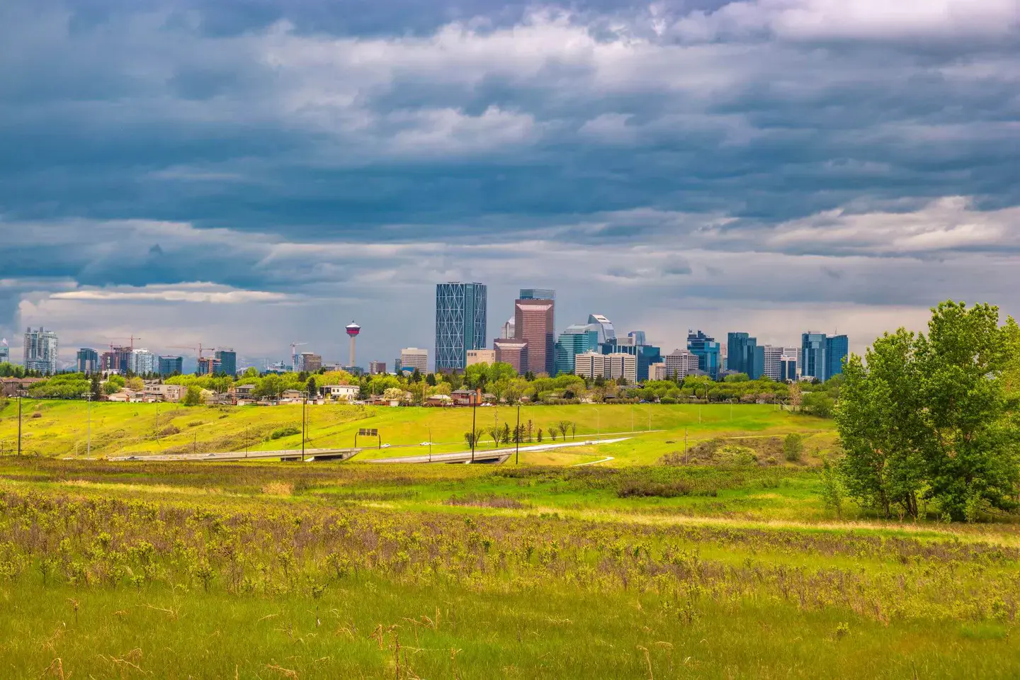Vista Heights community in Calgary